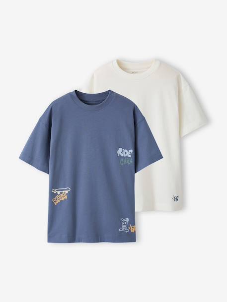 Pack of 2 short-sleeved t-shirts grey blue 
