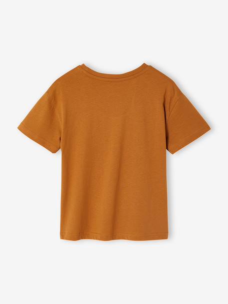 Boy's short-sleeved t-shirt pecan nut+sky blue 