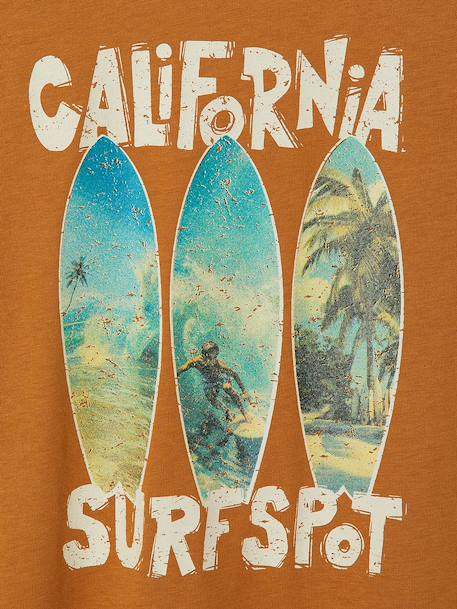 Boy's short-sleeved t-shirt pecan nut+sky blue 