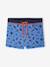 Boys' swim boxers blue 