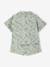 Baby boy shirt and short set sage green 