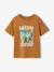 Boy's short-sleeved t-shirt pecan nut+sky blue 
