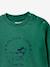 Soft baby sweatshirt mint green 
