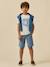 Boy's chino shorts blue 