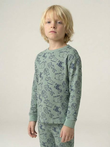 Boy's jungle pyjamas sage green 