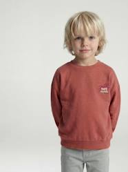 Long Sleeve Sweatshirt with Round Neckline for Boys
