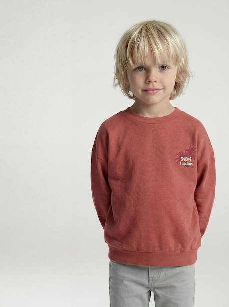 Long Sleeve Sweatshirt with Round Neckline for Boys dusky pink+pastel yellow 
