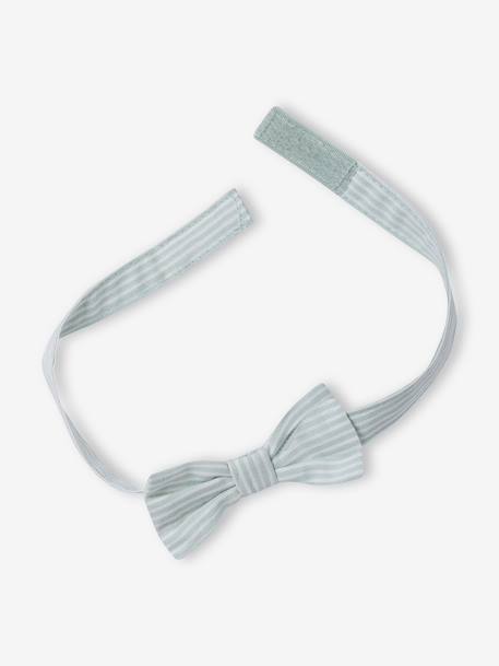 Set: shirt, cardigan and bow tie for babies sage green 