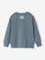 Round-neck long-sleeved sweatshirt for boys grey blue 