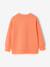 Round-neck long-sleeved sweatshirt for boys aqua green+mango+pale yellow 