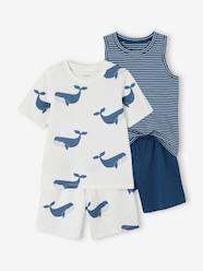 Boys-Pack of 2 boys' pyjamas shorts 