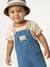 Set T-shirt dungaree for babies stone 