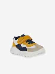 Ciufciuf trainers