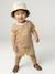 Boys' organic cotton T-shirt pecan nut 