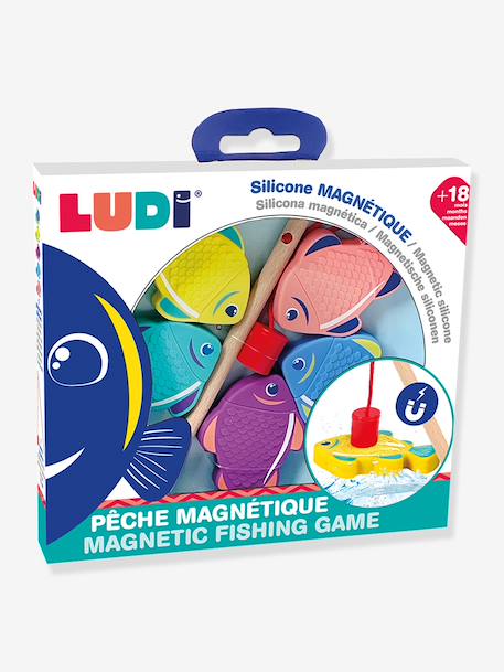 Magnetic fishing game for the bath multicoloured 