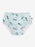 Swim nappy truck blue 
