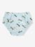 Swim nappy truck blue 