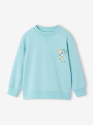 Round-neck long-sleeved sweatshirt for boys