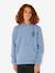 Boys' hooded sweatshirt grey blue 
