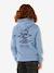 Boys' hooded sweatshirt grey blue 
