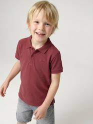 Boys-Short Sleeve Polo Shirt, Embroidery on the Chest, for Boys