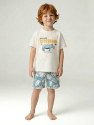 Boys-Cotton t-shirt and short set for boys 