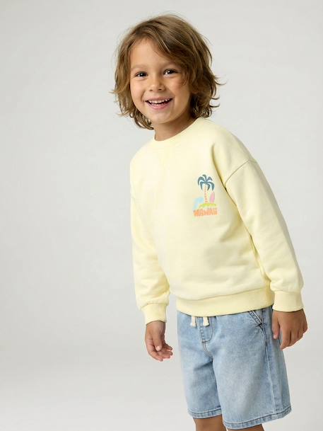 Round-neck long-sleeved sweatshirt for boys aqua green+mango+pale yellow 