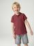Short Sleeve Polo Shirt, Embroidery on the Chest, for Boys blue+BLUE MEDIUM SOLID WITH DESIGN+Green+pale yellow+terracotta+WHITE LIGHT SOLID WITH DESIGN 