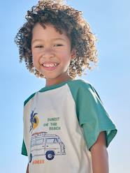 Boys-Boy's short-sleeved t-shirt 