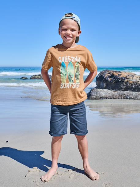 Boy's short-sleeved t-shirt pecan nut+sky blue 