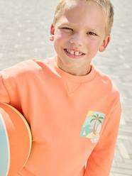 Round-neck long-sleeved sweatshirt for boys