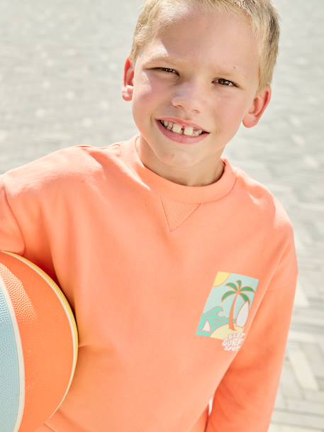 Round-neck long-sleeved sweatshirt for boys aqua green+mango+pale yellow 