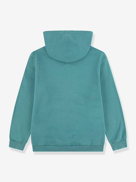 Hooded sweatshirt for boy green 