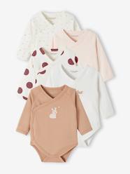 -Pack of 5 Long Sleeve Bodysuits for Newborn Babies