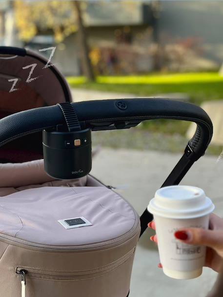 Roxy smart portable swing black 