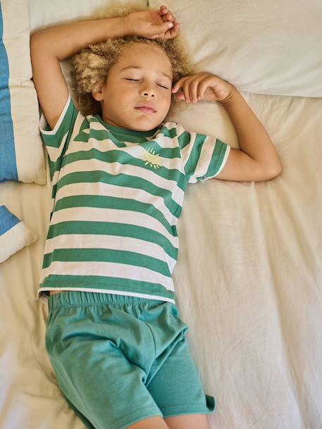 Pack of 2 striped pyjama shorts blue 