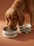 Pack of 2 ceramic bowls printed white 