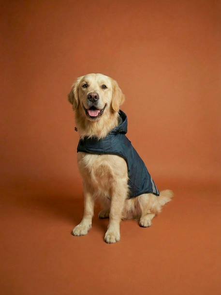 Waterproof dog coat slate blue 