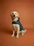 Waterproof dog coat slate blue 