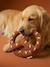 Fabric dog toy pretzel hazel 