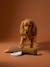 Multi-textured duck dog toy hazel 