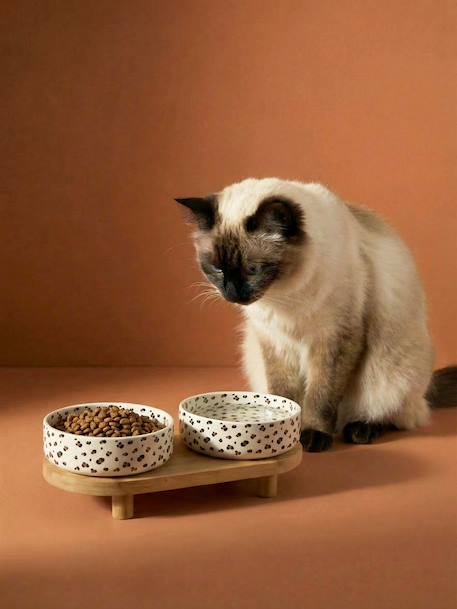 Pack of 2 ceramic bowls with stand printed white 