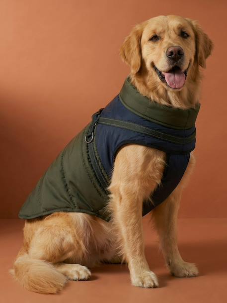 Lightweight jacket with dog zip and harness caramel 