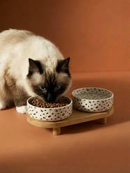 -Pack of 2 ceramic bowls with stand