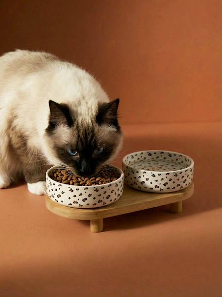 Pack of 2 ceramic bowls with stand printed white 