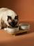 Pack of 2 ceramic bowls with stand printed white 
