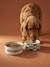 Pack of 2 ceramic bowls printed white 
