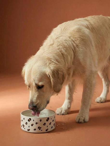 Ceramic Dog Bowl, FAMILY camel+printed white+striped pink 