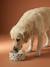 Ceramic Dog Bowl, FAMILY camel+printed white+striped pink 