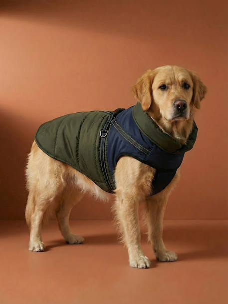 Lightweight jacket with dog zip and harness caramel 